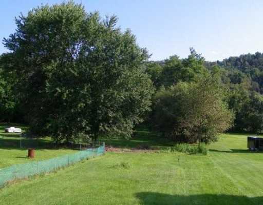 902 Venetia Road Venetia, PA 15367 - Photo 8 of 8 Yard/Garden.