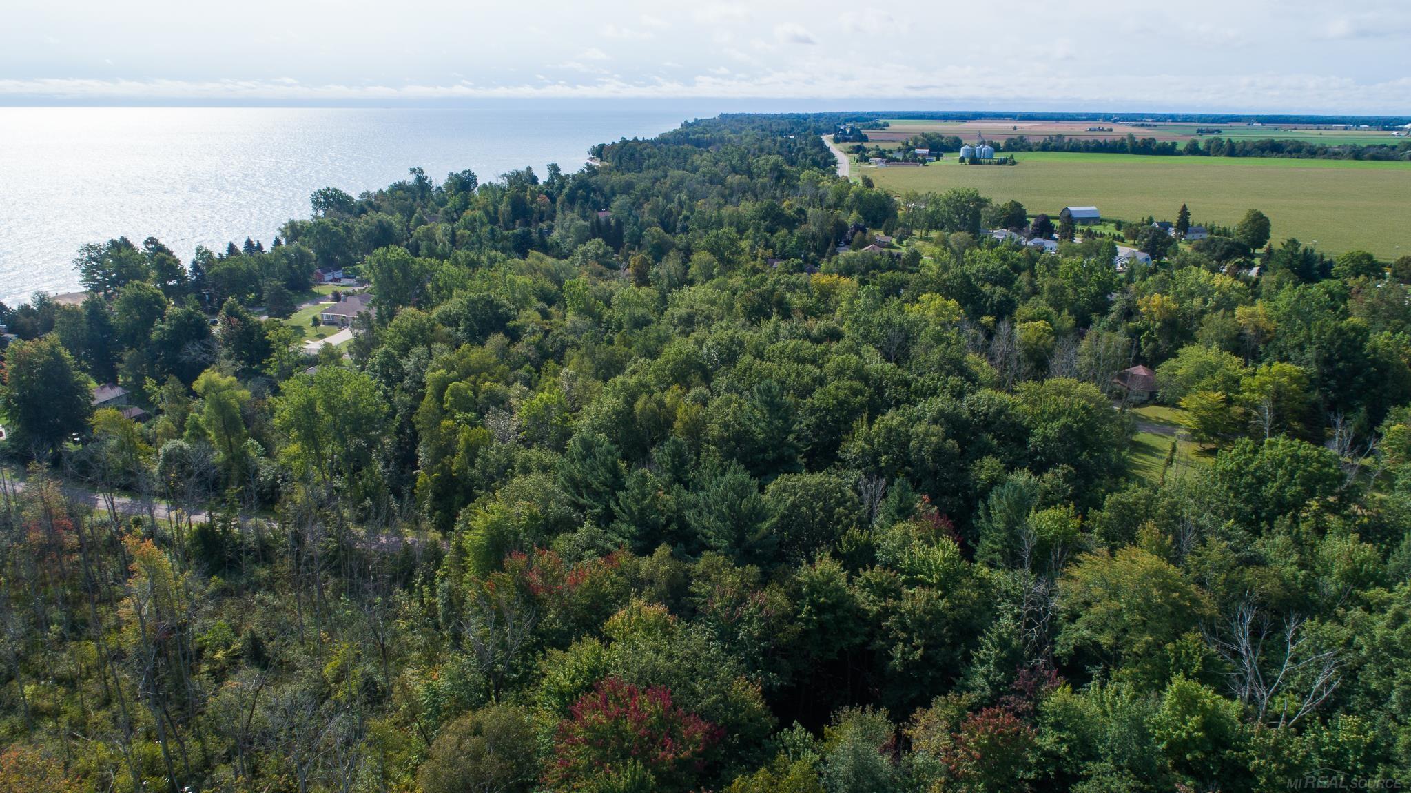 0 Schott Road Harbor Beach, MI 48441 - Photo 14 of 16