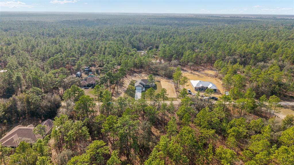 5796 Southwest 124th Ter Road Ocala, FL 34481 - Photo 52 of 63 a view of a lush green forest with trees and some houses