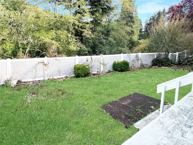 a view of a backyard