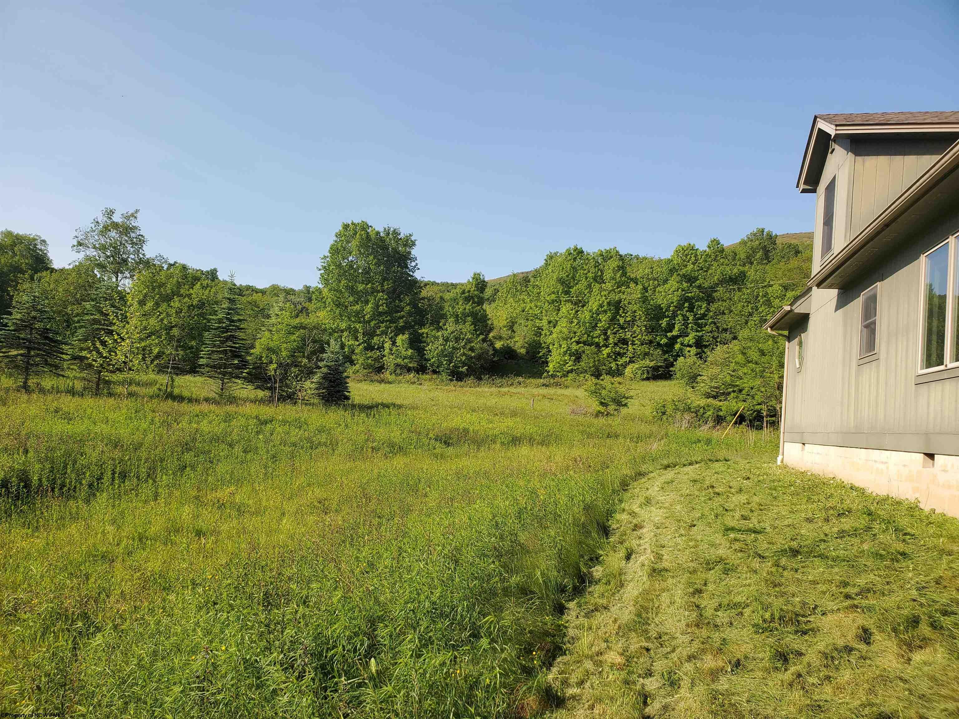2493 Laneville Road Dryfork, WV 26263 - Photo 23 of 28 Gallery Image 23