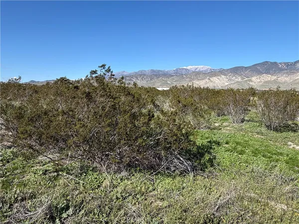 a view of a mountain in the distance in a field