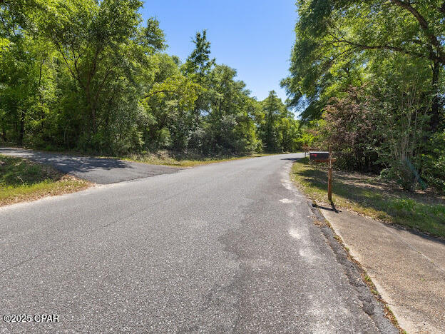0 Paradise Lakes Road Chipley, FL 32428 - Photo 5 of 7