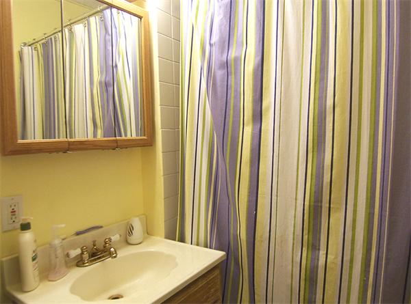 76 Sterling Street Springfield, MA 01107 - Photo 10 of 15 a bathroom with a sink a mirror and a shower curtain