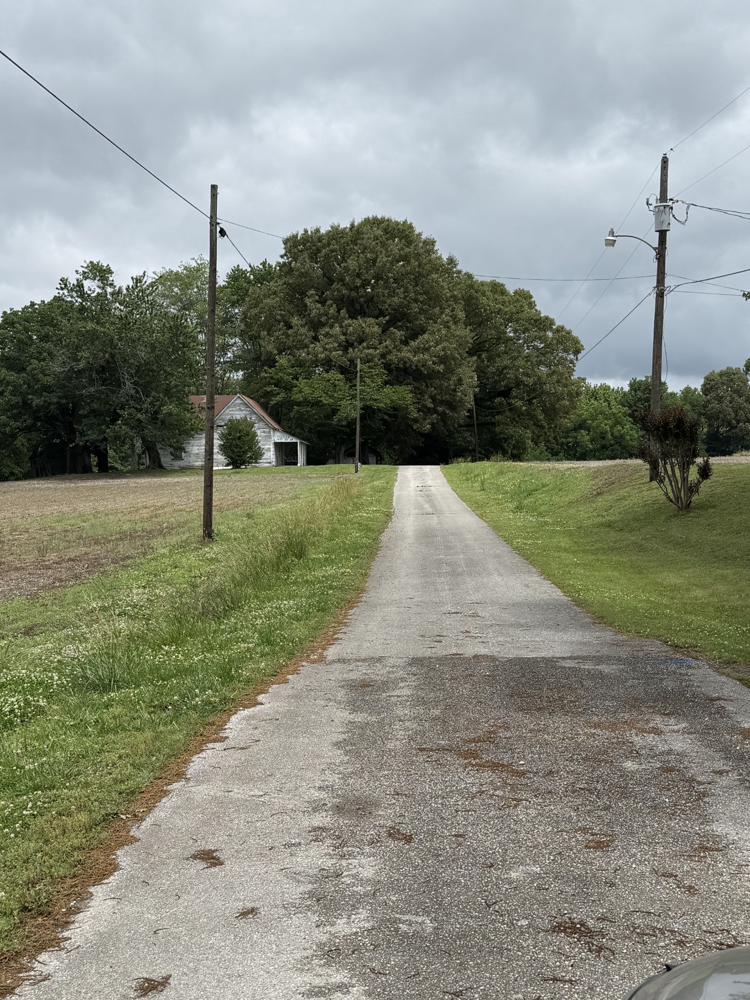 325 Harts Mill Road Atwood, TN 38220 - Photo 19 of 44
