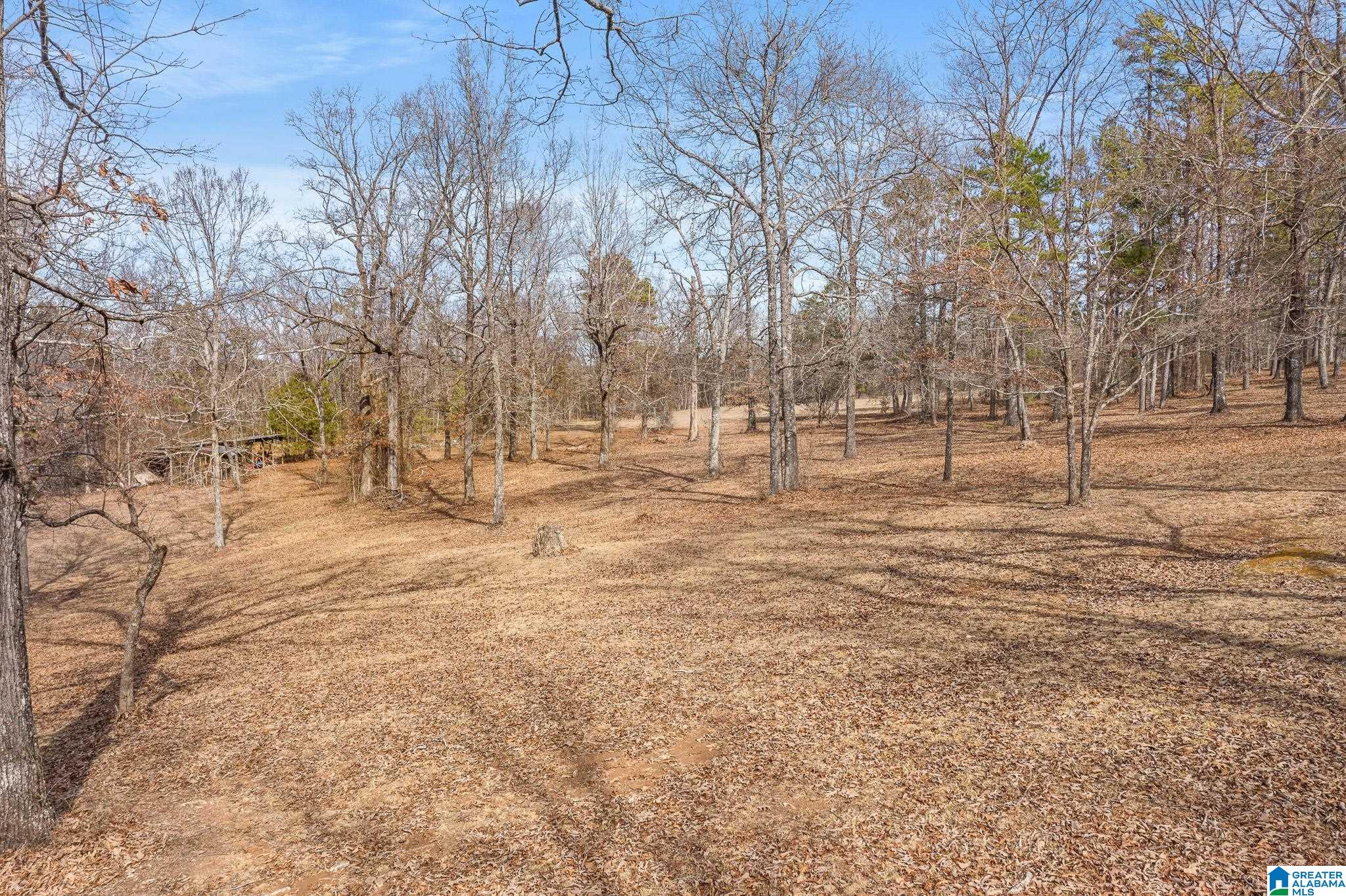 575 Mountain View Lane Springville, AL 35146 - Photo 66 of 84