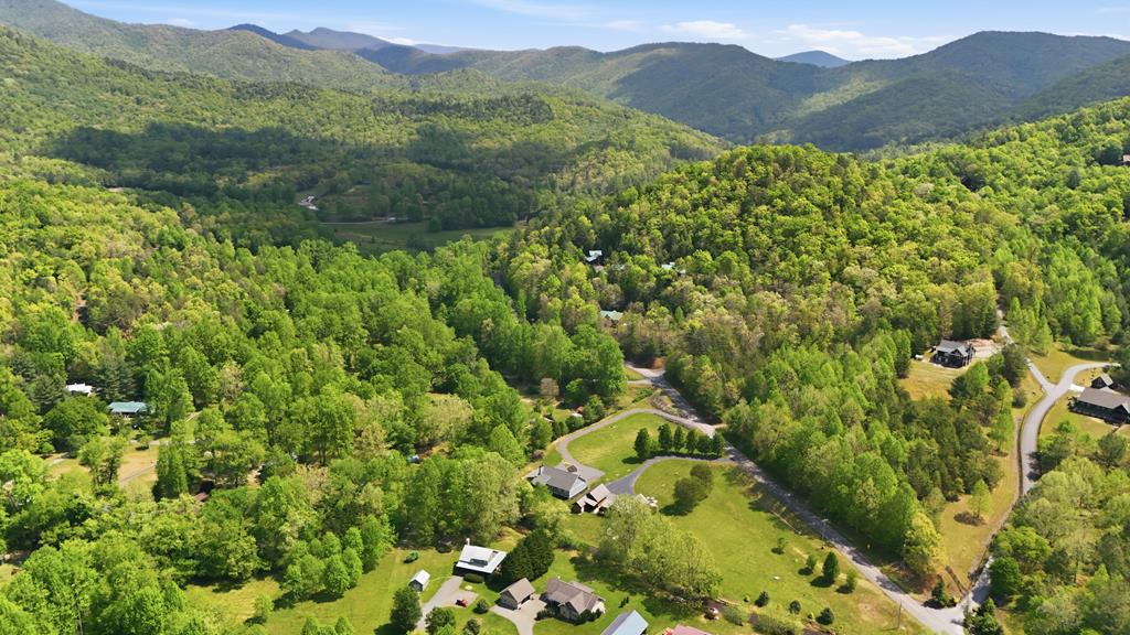 7079 Upper Hightower Road Hiawassee, GA 30546 - Photo 63 of 69 Gallery Image 63