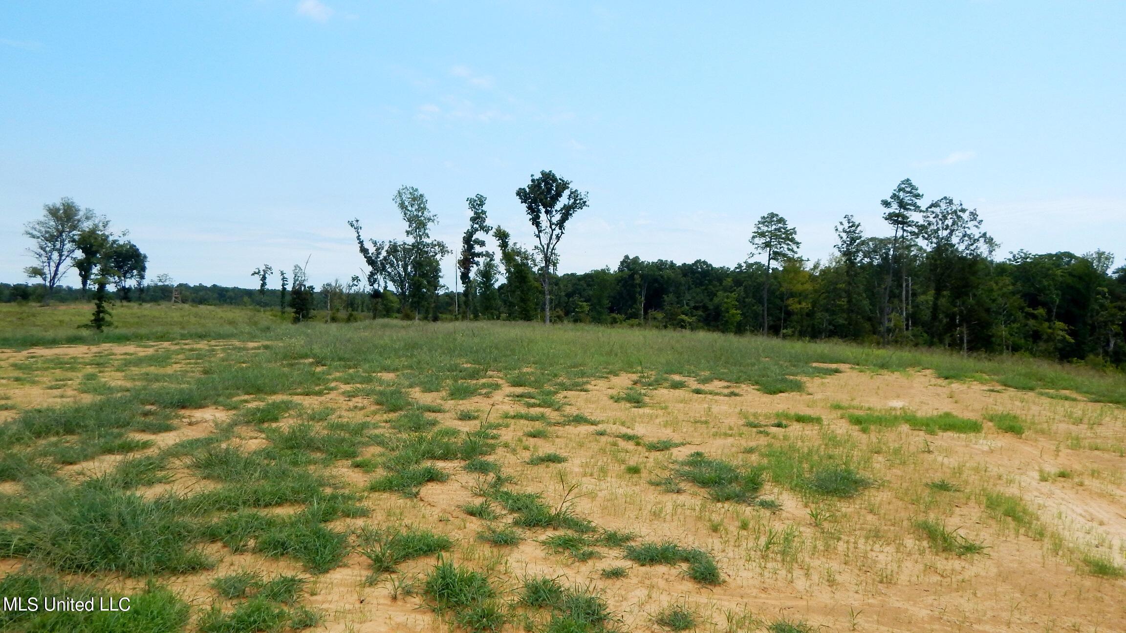 6404 Pea Ridge Road Grenada, MS 38901 - Photo 1 of 7 1asmart2 038