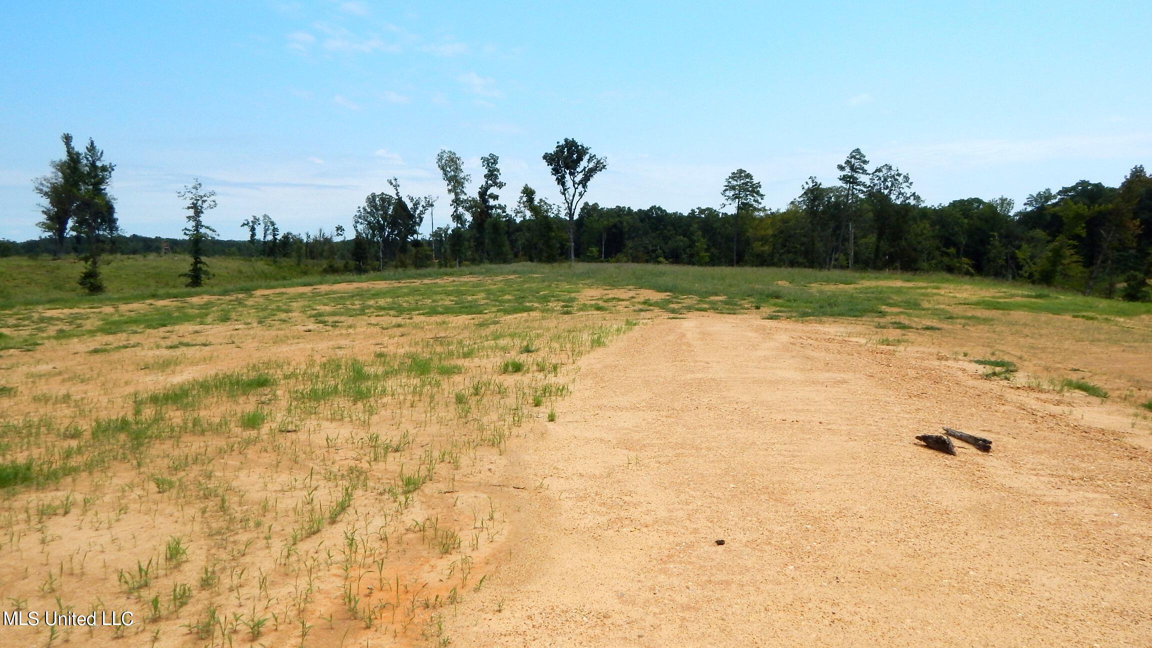 6404 Pea Ridge Road Grenada, MS 38901 - Photo 6 of 7 1asmart2 036