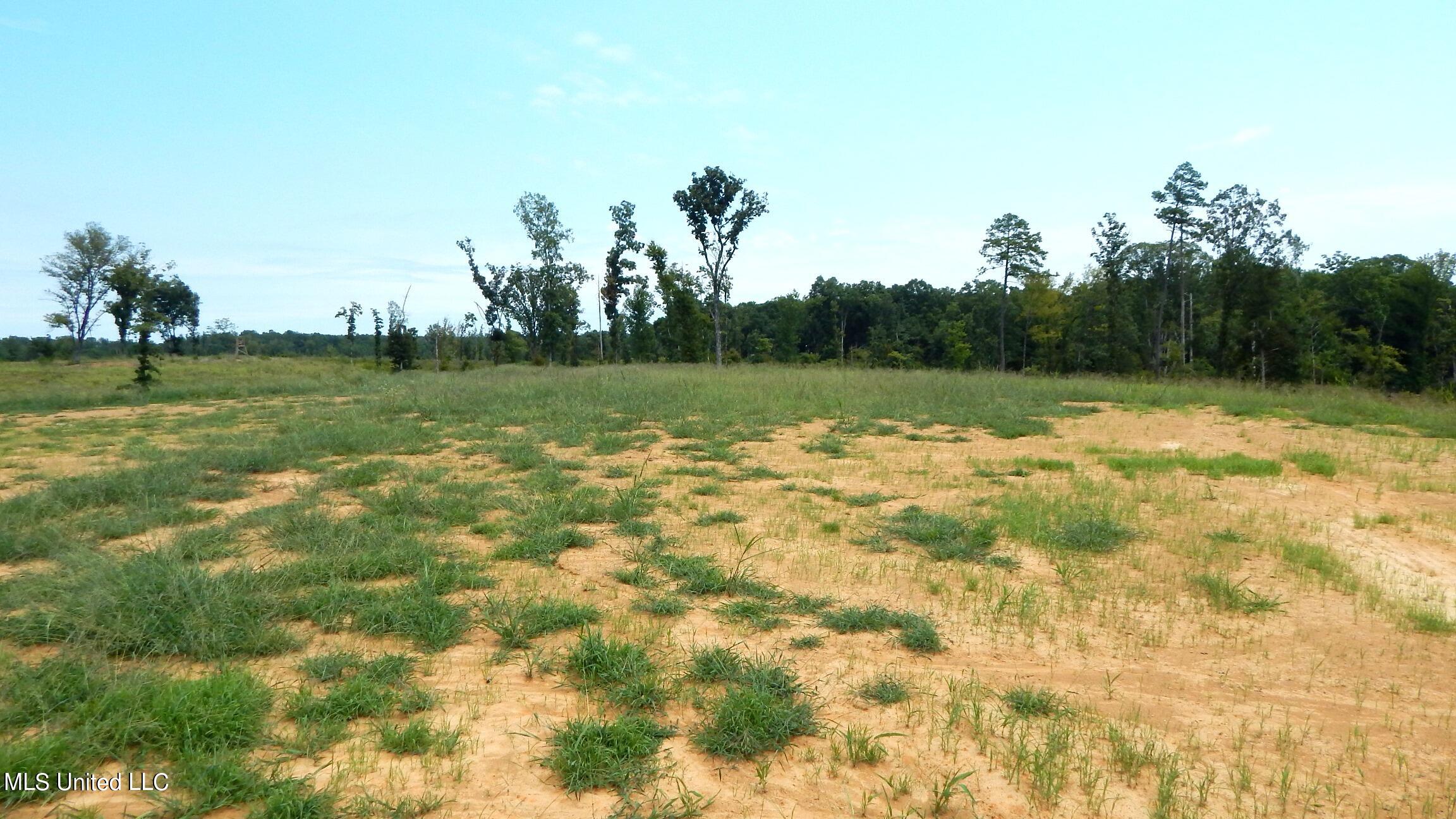 6404 Pea Ridge Road Grenada, MS 38901 - Photo 7 of 7 1asmart2 037