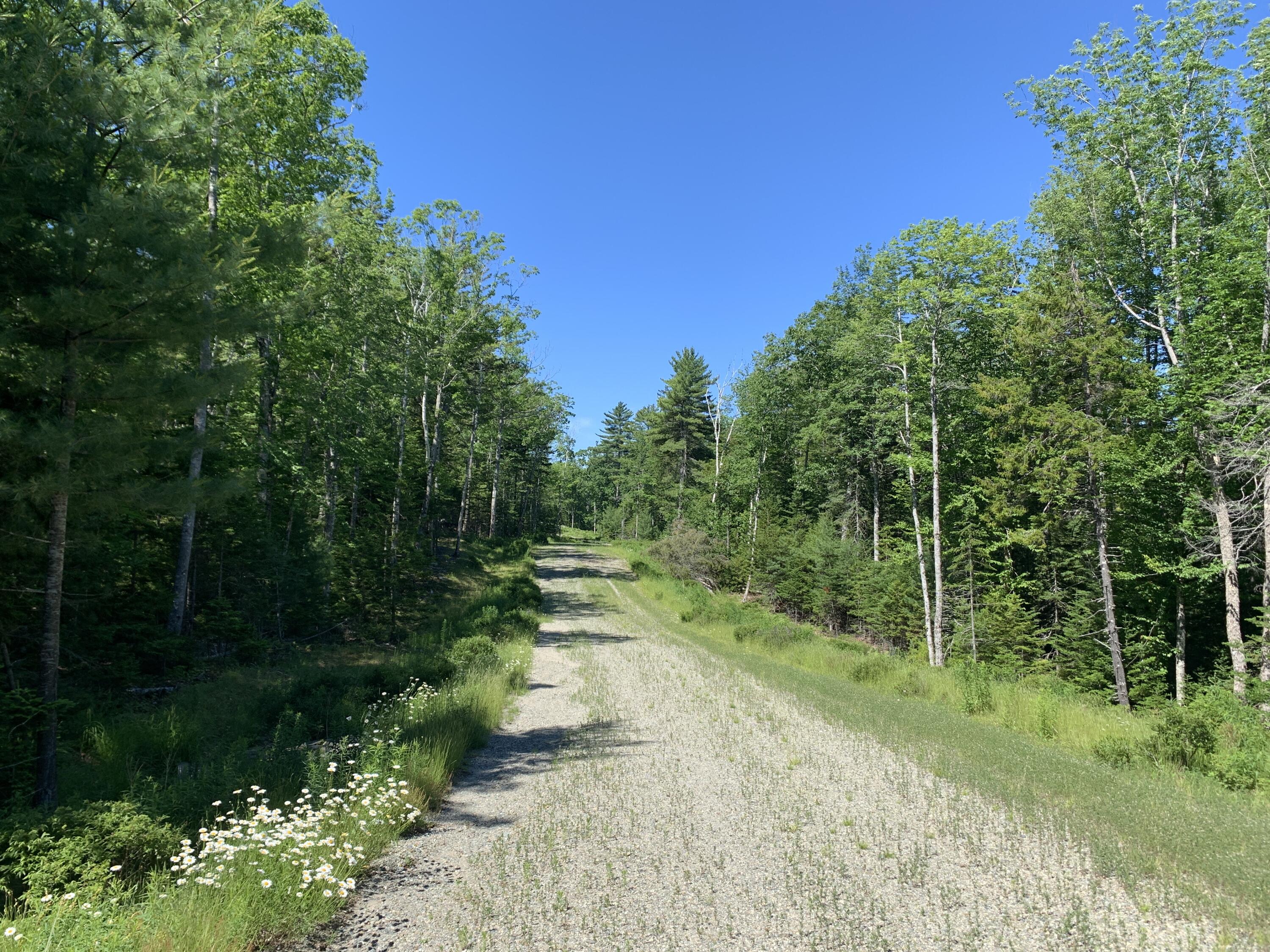 0 Patty Lp Road Mount Desert, ME 04660 - Photo 4 of 6 IMG_5998