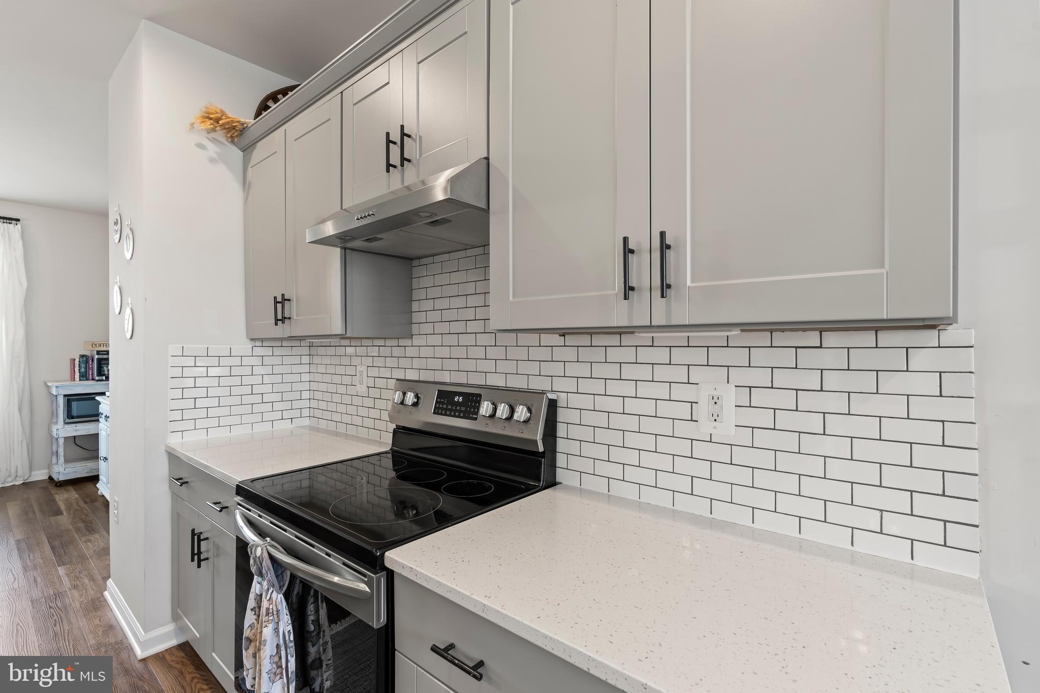 163 Presidents Pointe Avenue Ranson, WV 25438 - Photo 20 of 40 Attractive backsplash