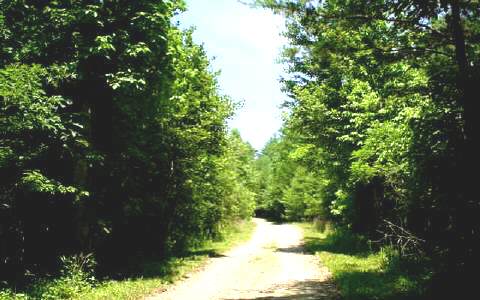 59 Wagon Wheel Road Morganton, GA 30560 - Photo 1 of 1 Main View