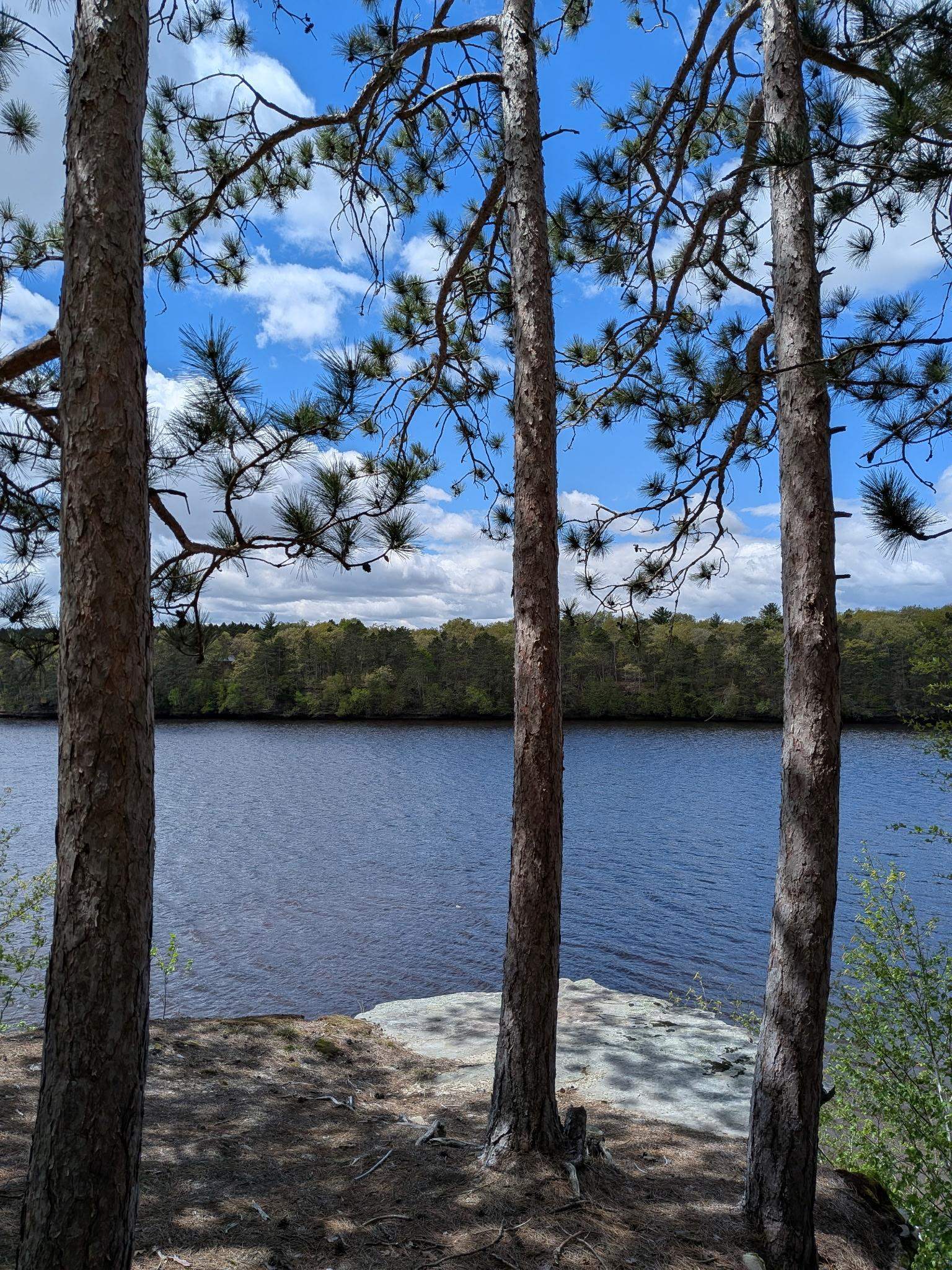 12 Spruce Wisconsin Dells, WI 53965 - Photo 20 of 26