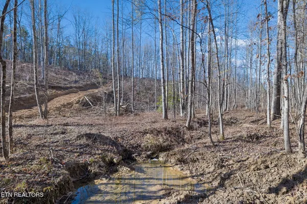 $355,914 | Burrville Road, Sunbright, TN 37872