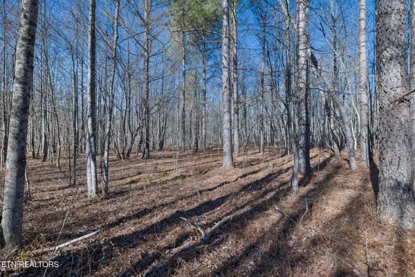 $355,914 | Burrville Road, Sunbright, TN 37872