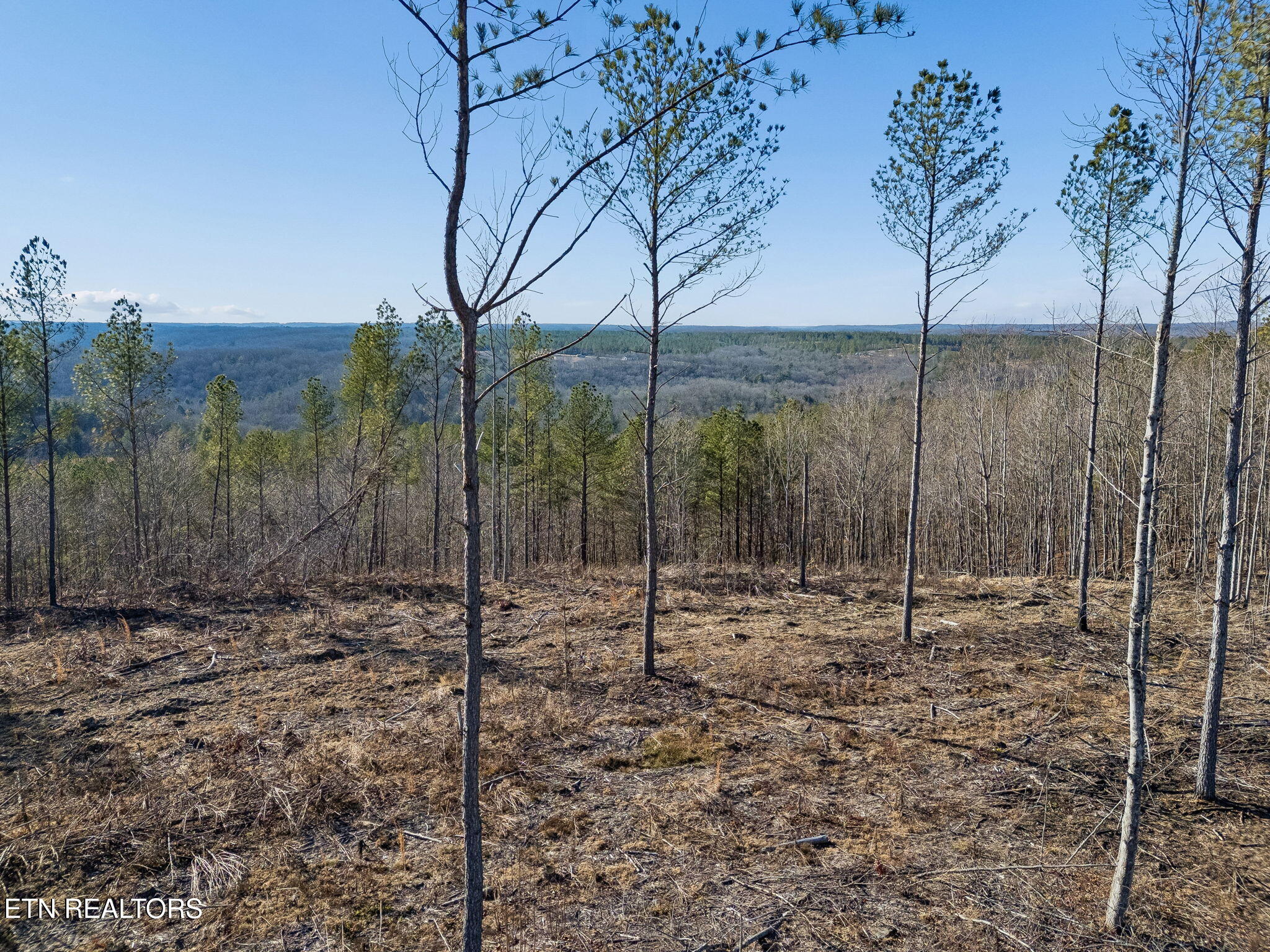 Burrville Road Sunbright, TN 37872 - Photo 13 of 29 12-39 012