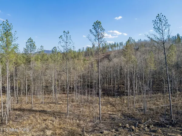 $355,914 | Burrville Road, Sunbright, TN 37872