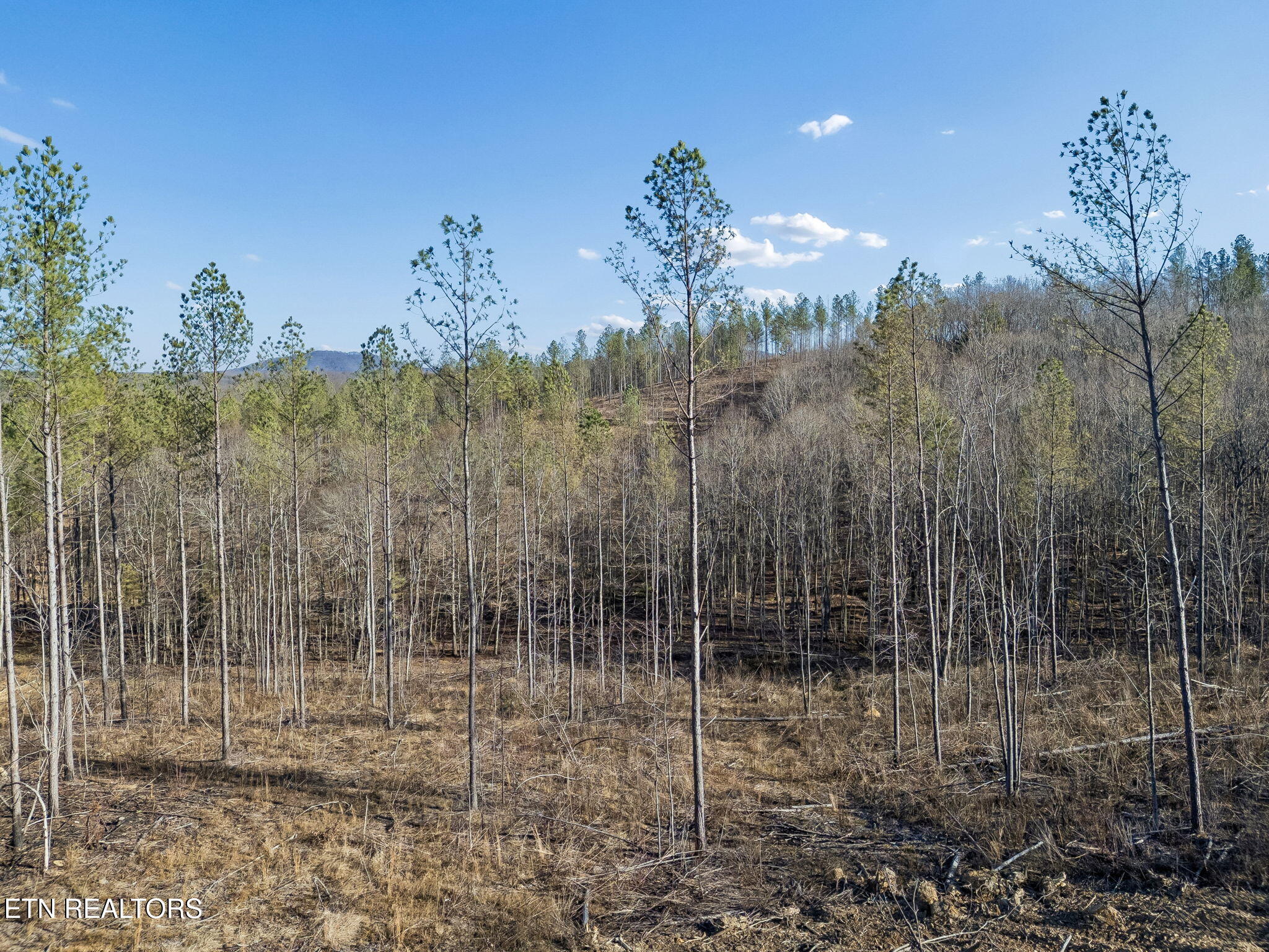 Burrville Road Sunbright, TN 37872 - Photo 14 of 29 15-39 015
