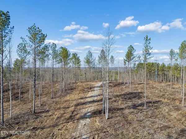 $355,914 | Burrville Road, Sunbright, TN 37872