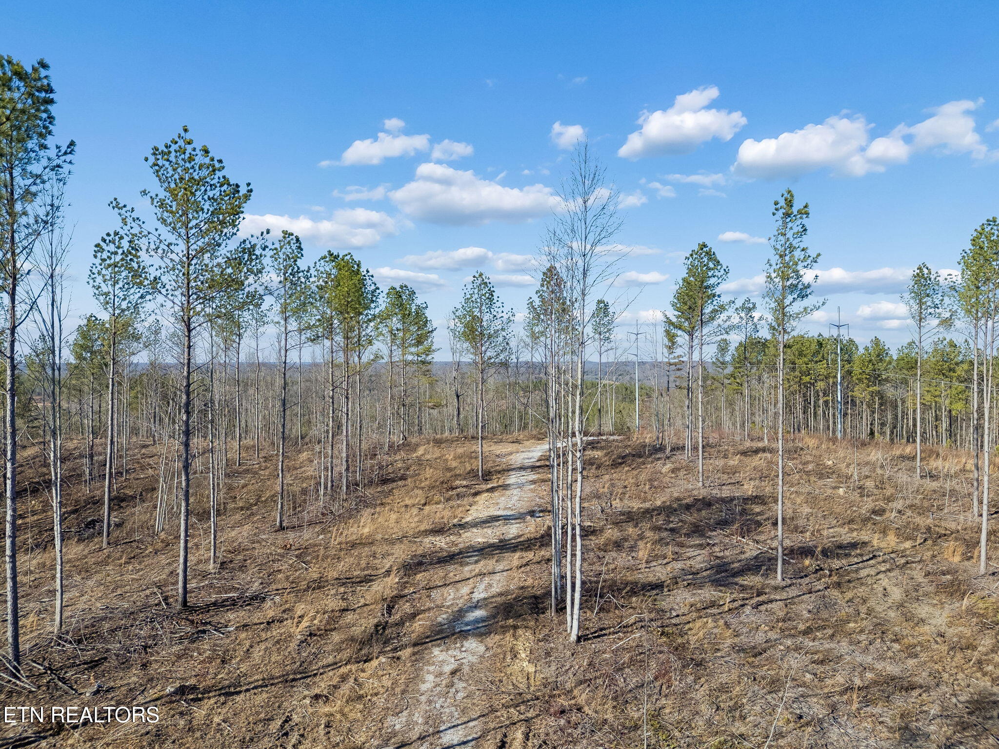 Burrville Road Sunbright, TN 37872 - Photo 2 of 29 13-39 013