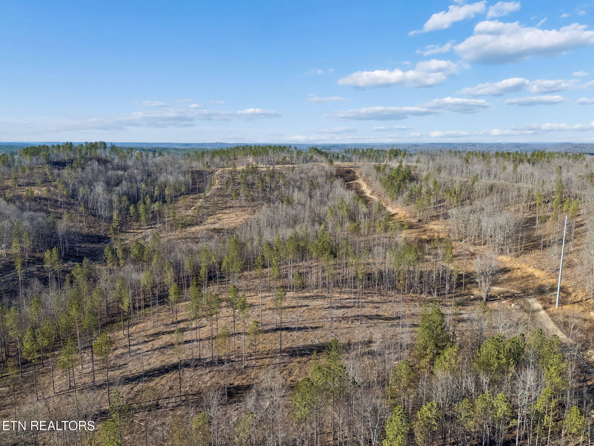 Burrville Road Sunbright, TN 37872 - Photo 22 of 29 23-39 022
