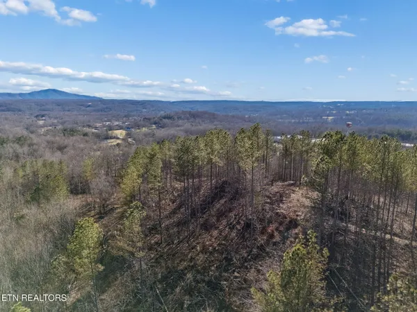 $355,914 | Burrville Road, Sunbright, TN 37872