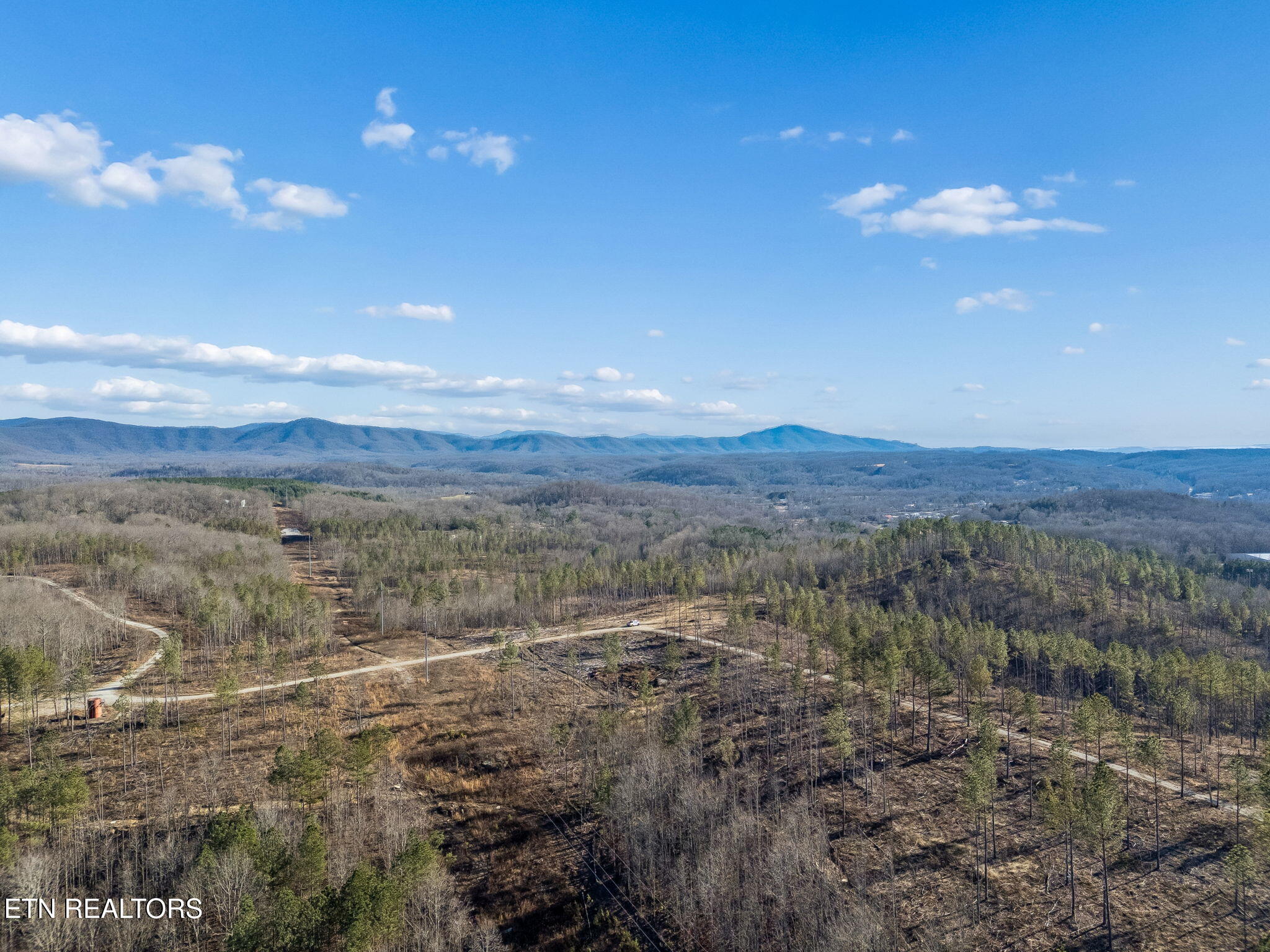 Burrville Road Sunbright, TN 37872 - Photo 26 of 29 27-39 026