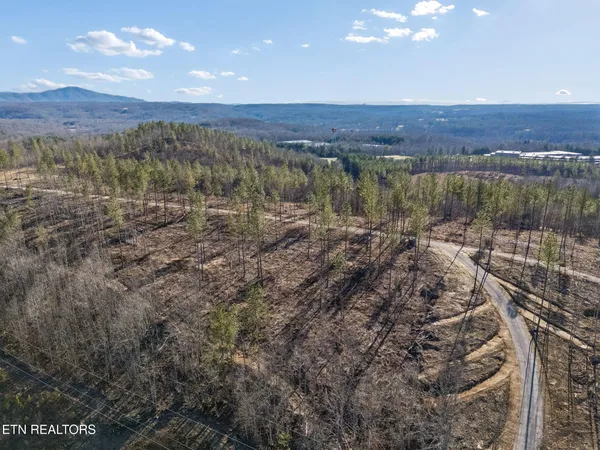 $355,914 | Burrville Road, Sunbright, TN 37872