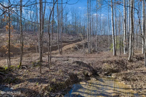 $355,914 | Burrville Road, Sunbright, TN 37872