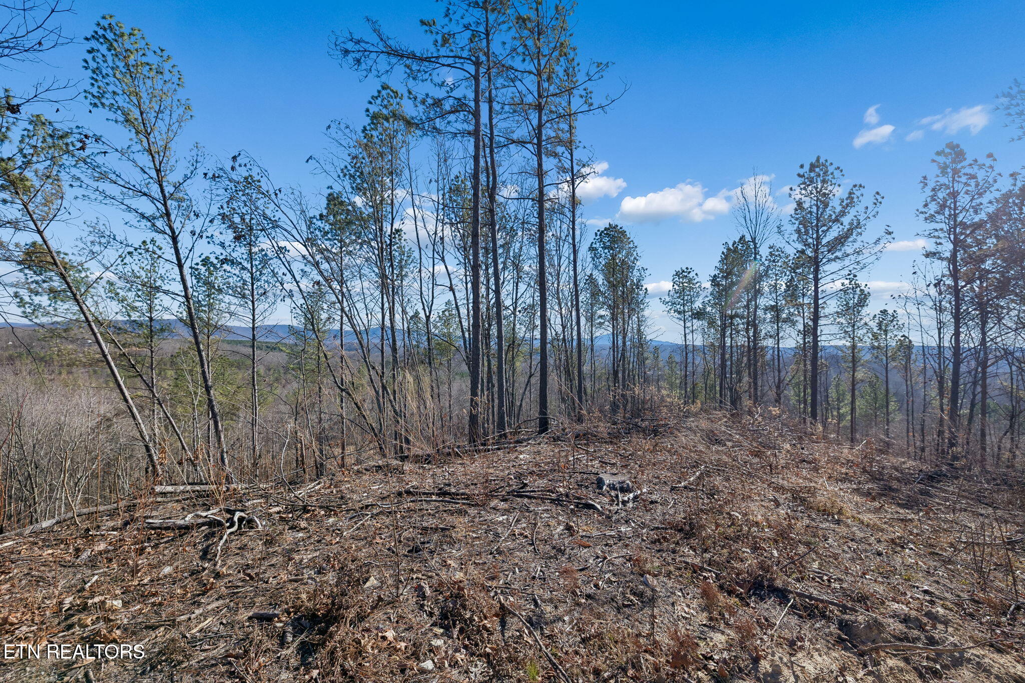 Burrville Road Sunbright, TN 37872 - Photo 5 of 29 1-39 001