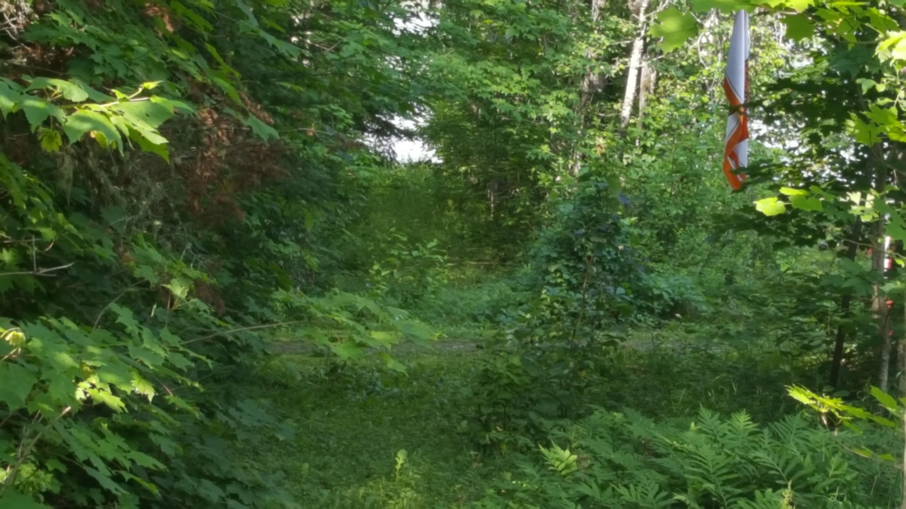 430 East Cottage Road Portage Lake, ME 04768 - Photo 29 of 32 20190730_093111