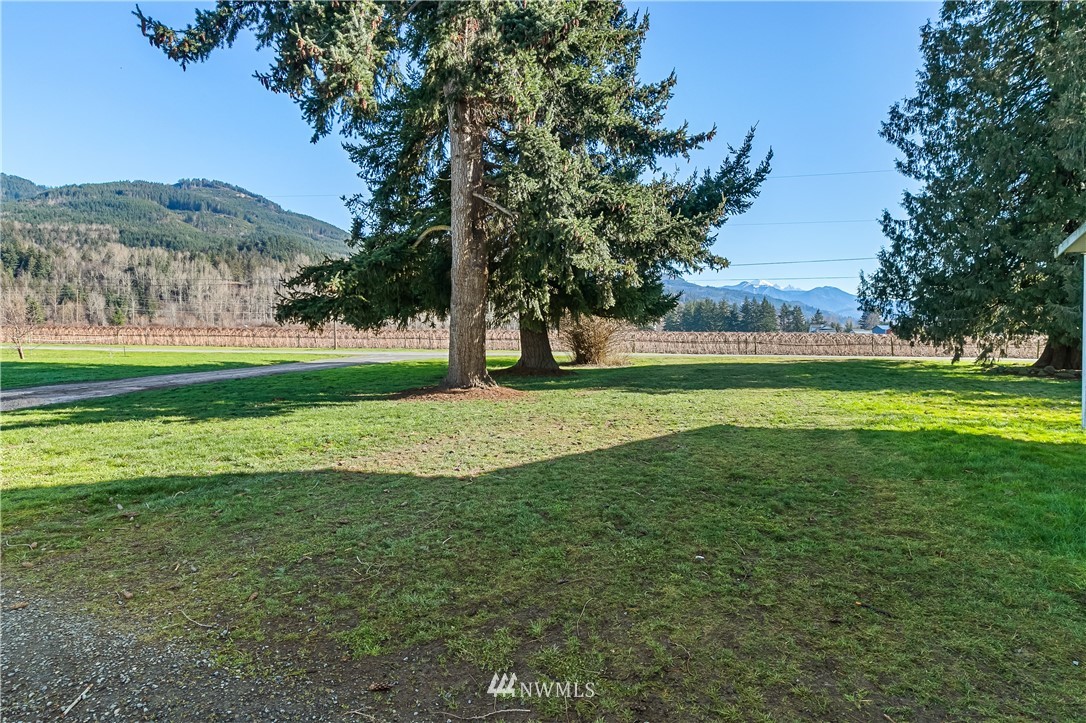 5651 Putnam Road Everson, WA 98247 - Photo 36 of 38