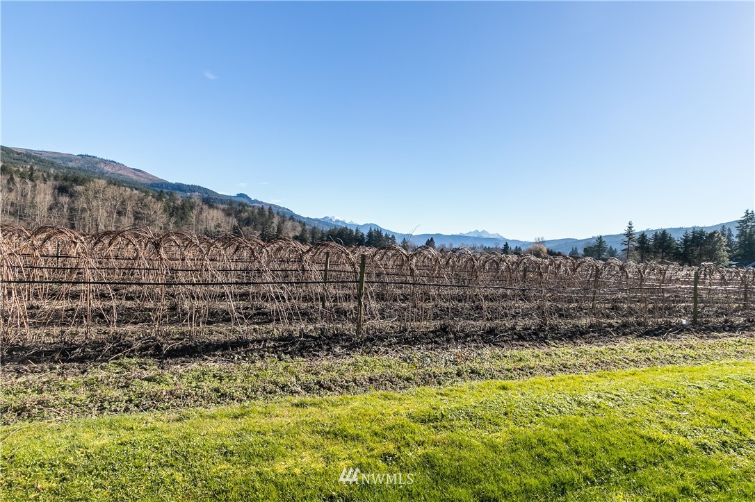 5651 Putnam Road Everson, WA 98247 - Photo 38 of 38 a view of a yard with wooden fence