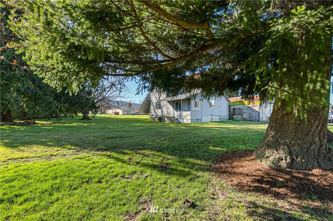 5651 Putnam Road Everson, WA 98247 - Photo 8 of 38 a view of backyard with green space