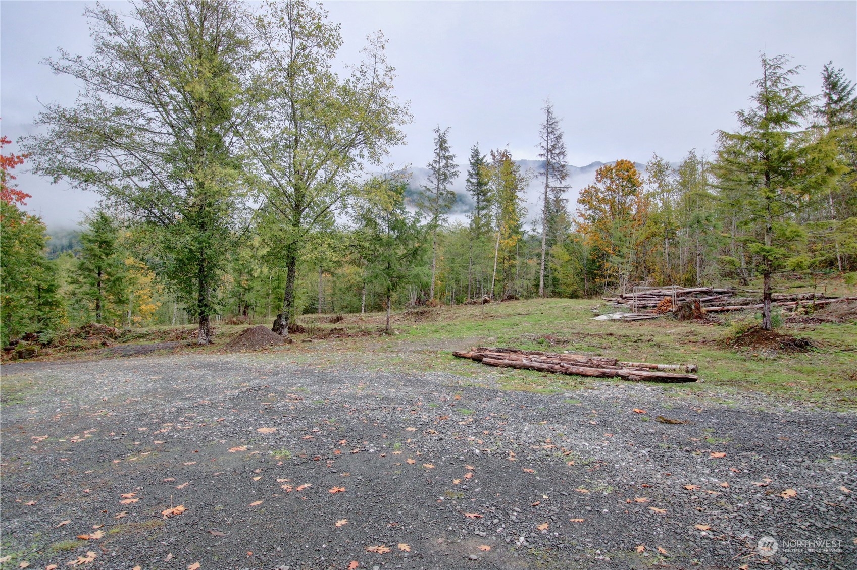 9363 Silver Lake Road Maple Falls, WA 98266 - Photo 33 of 38 a view of outdoor space with trees