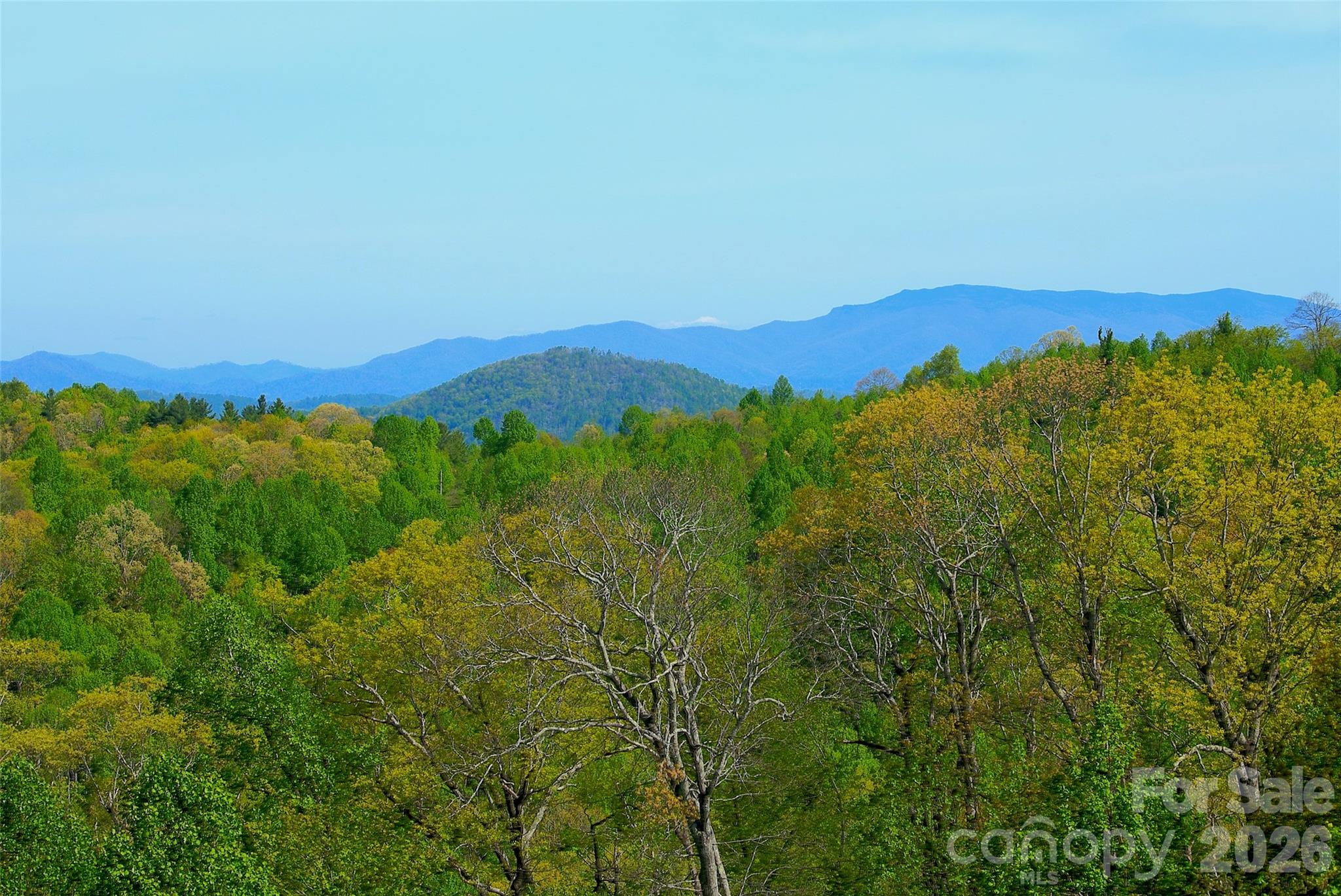 551 Carvers Knob Road Spruce Pine, NC 28777 - Photo 6 of 48