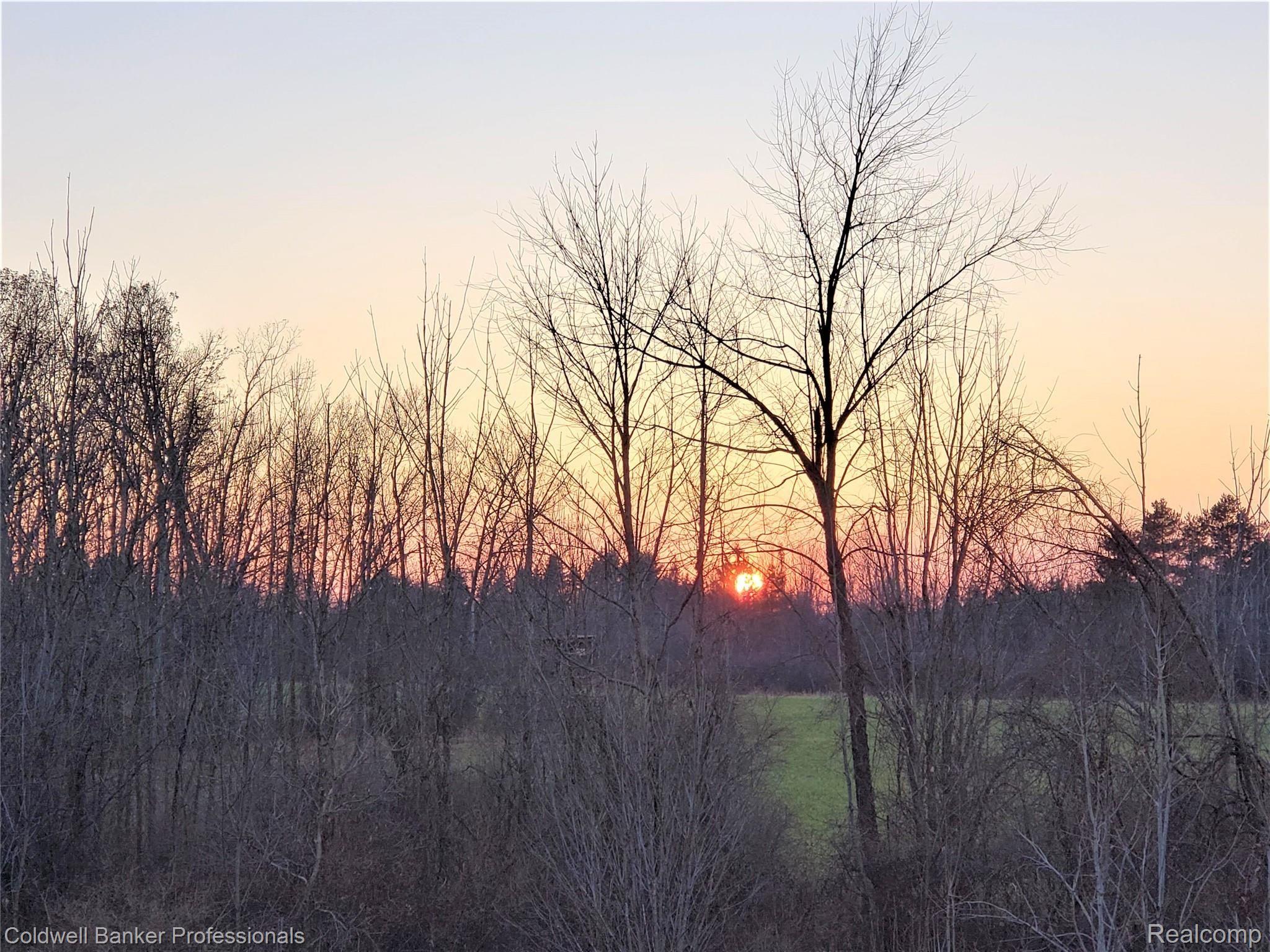 2040 Hasler Lake Road Lapeer, MI 48446 - Photo 19 of 38 Sunset From The Mini-Cabin