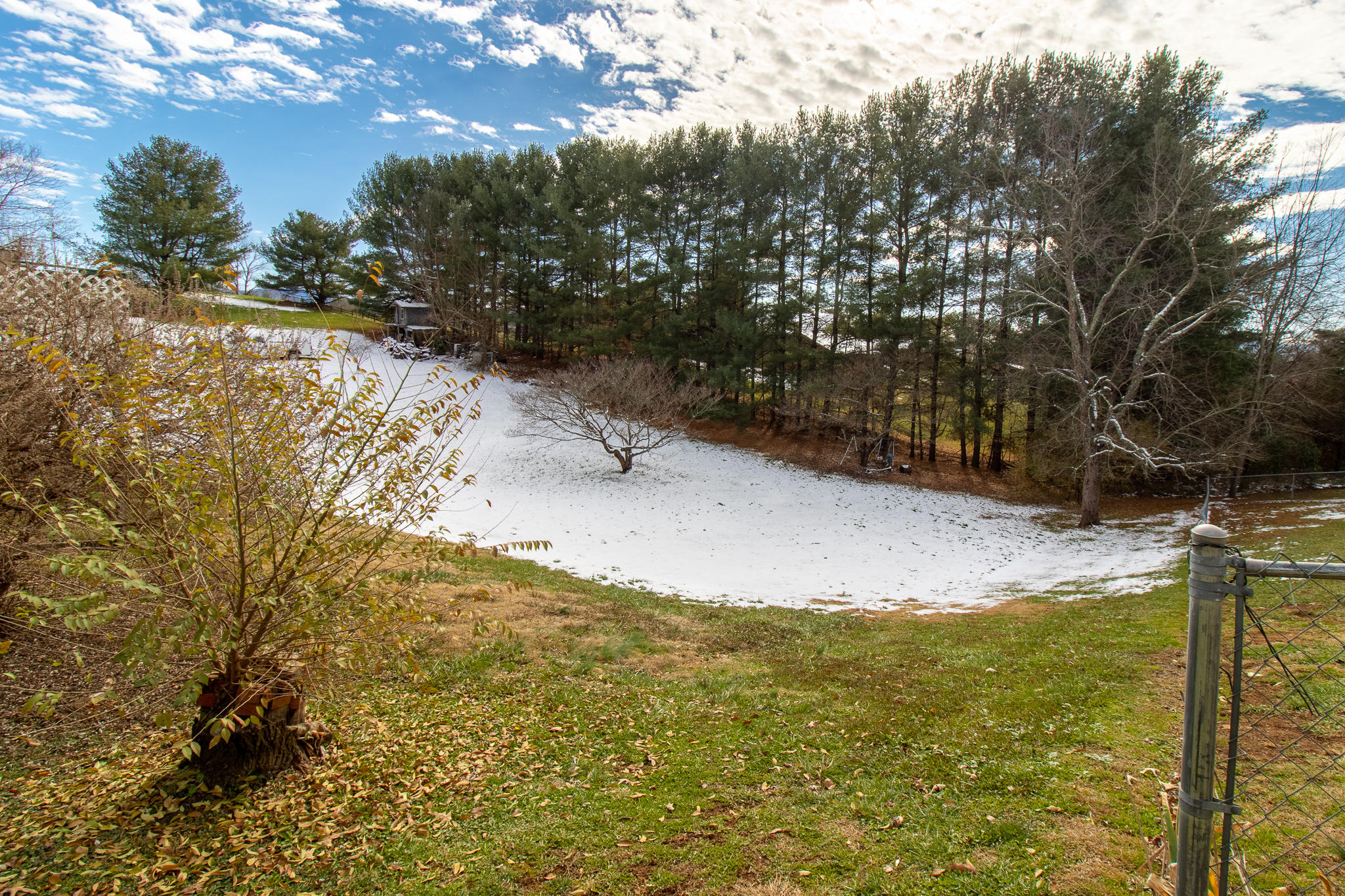 744 Wykle Road Greeneville, TN 37743 - Photo 29 of 32 Photo-5