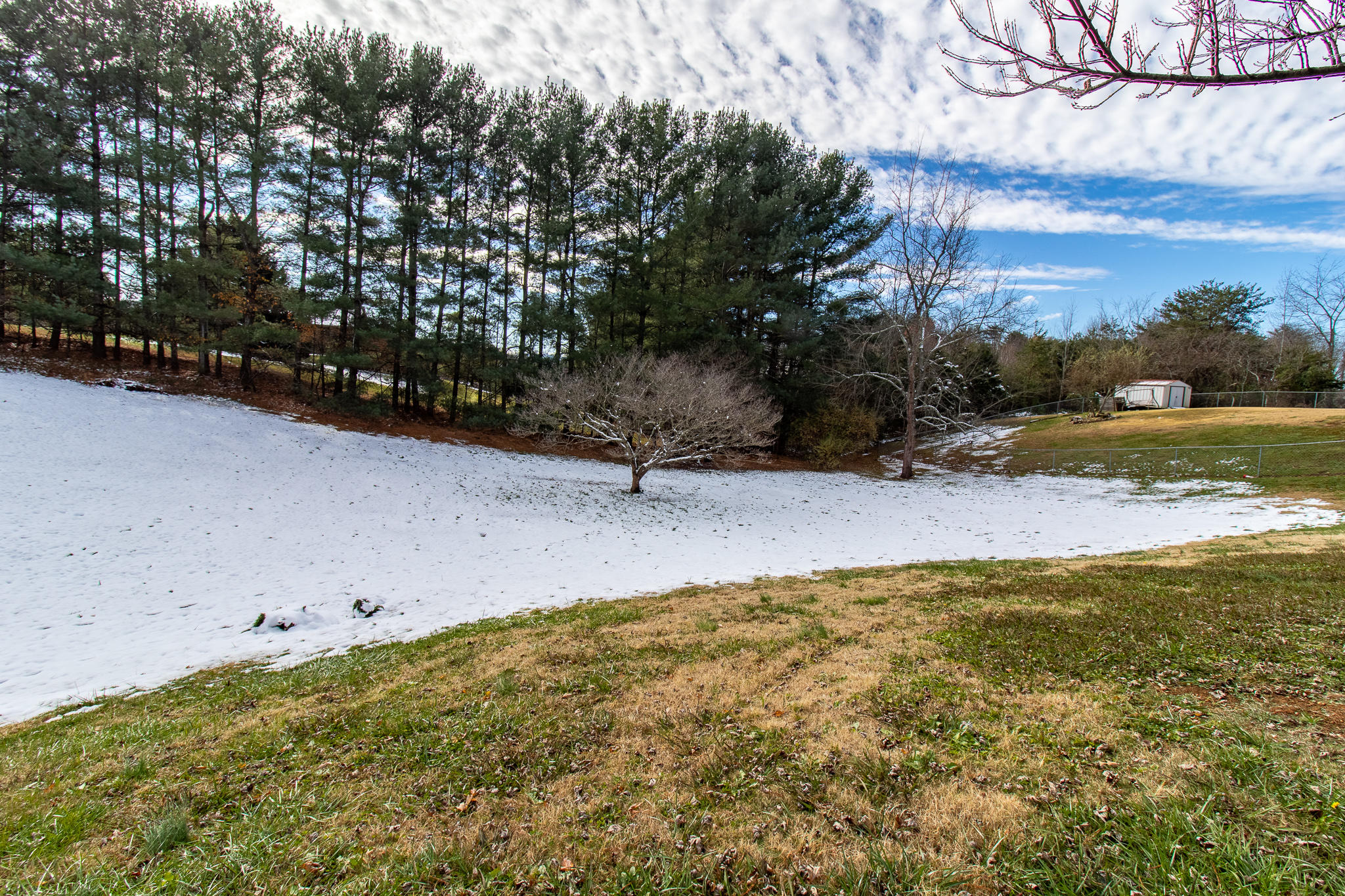 744 Wykle Road Greeneville, TN 37743 - Photo 32 of 32 Photo-3