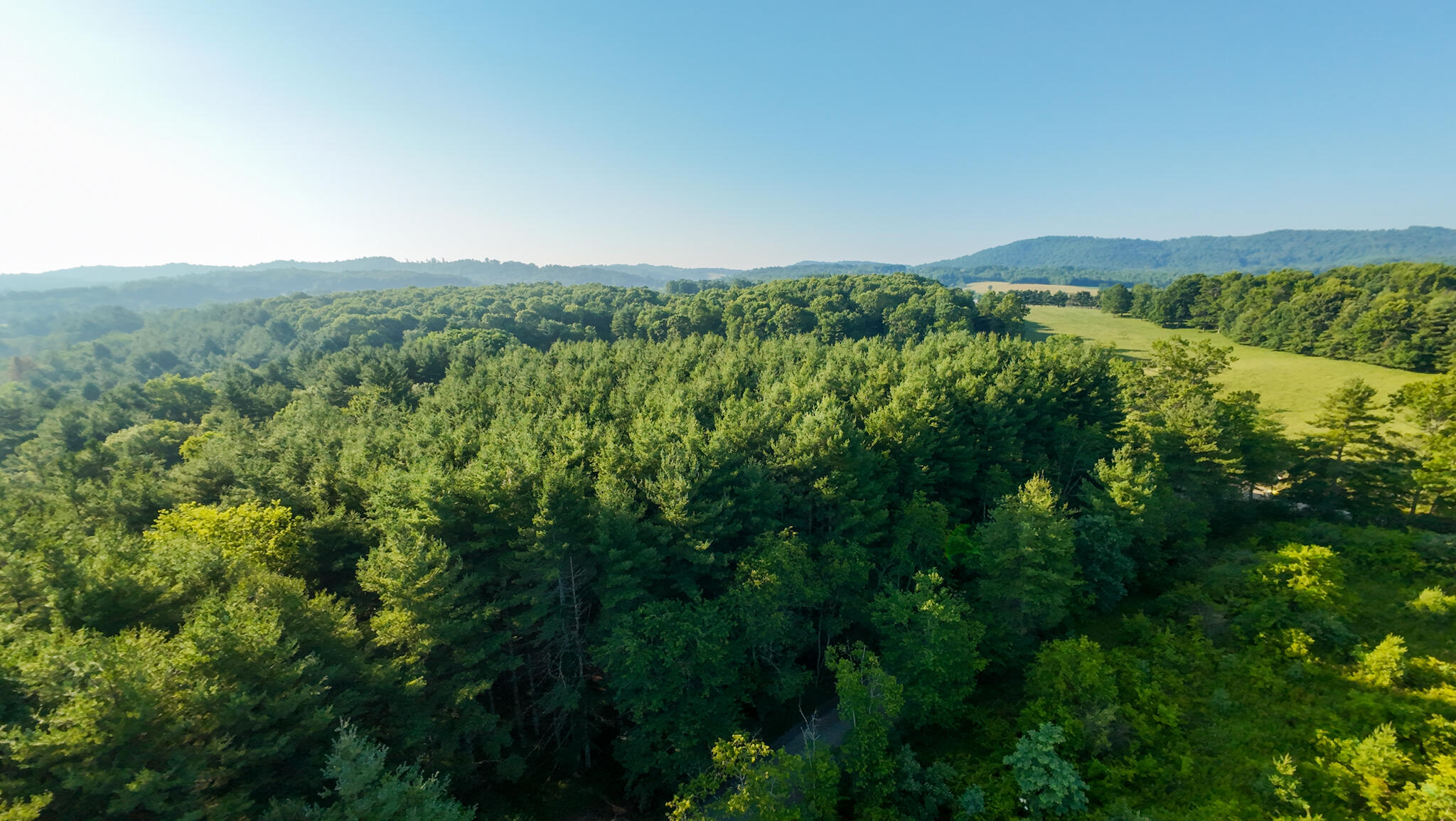 4 Merifield Road Northwest Willis, VA 24380 - Photo 4 of 17 Parcel 4-14