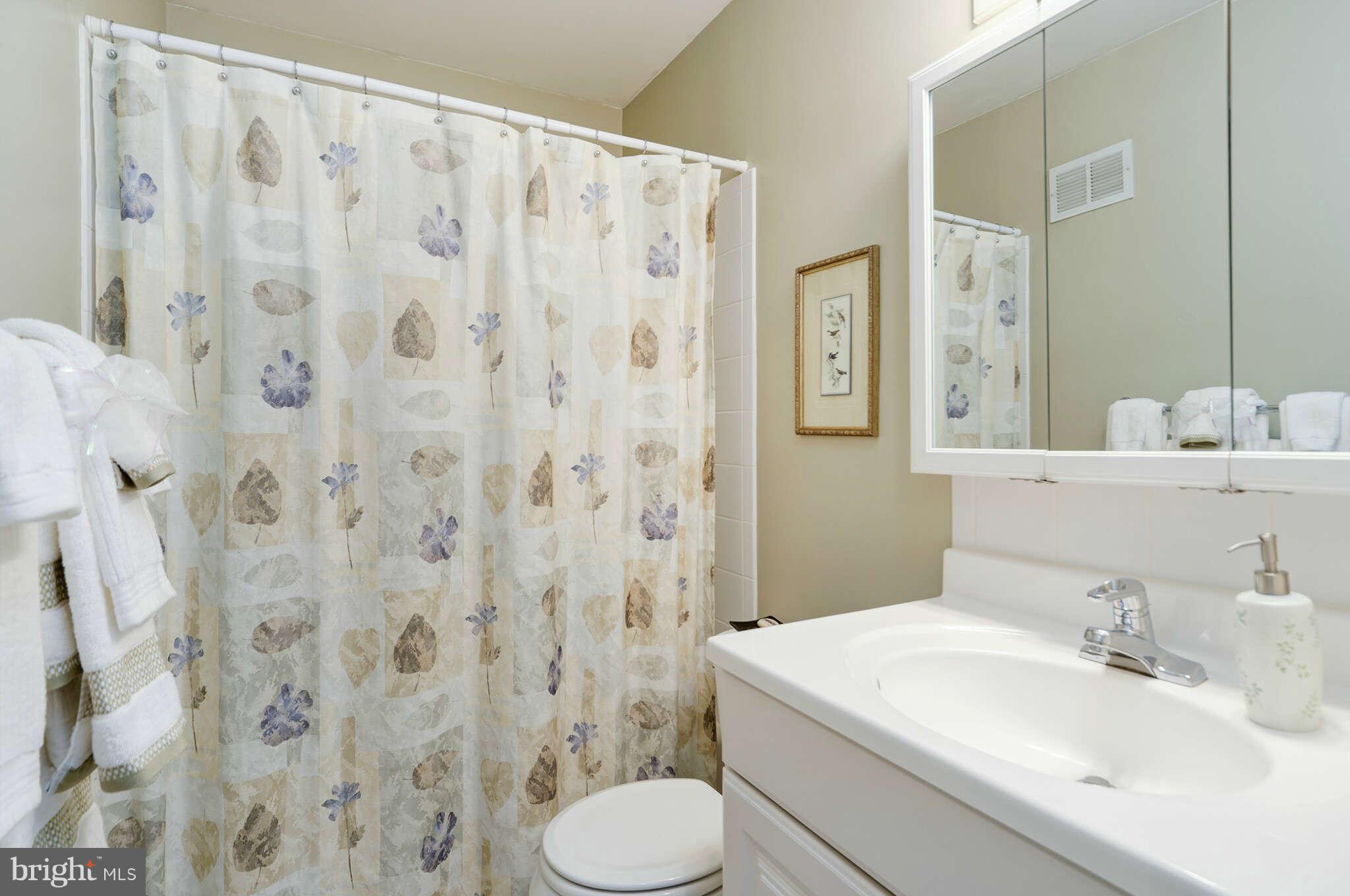 1756 Ivy Oak Square Reston, VA 20190 - Photo 7 of 30 Bath