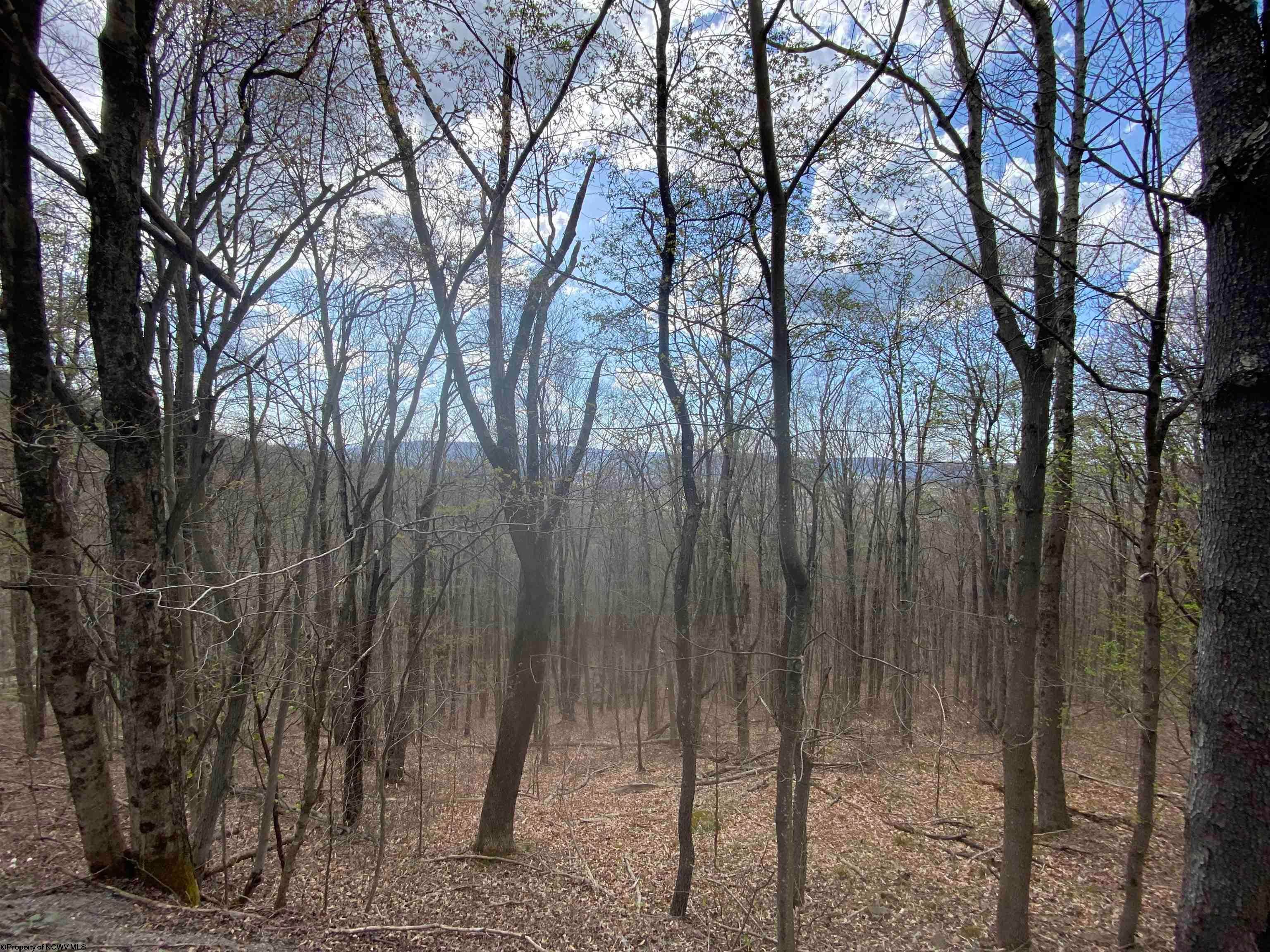 31 Mountainside Road Davis, WV 26260 - Photo 13 of 16 Gallery Image 13