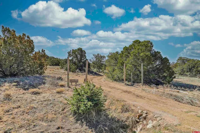 a view of beach and lake