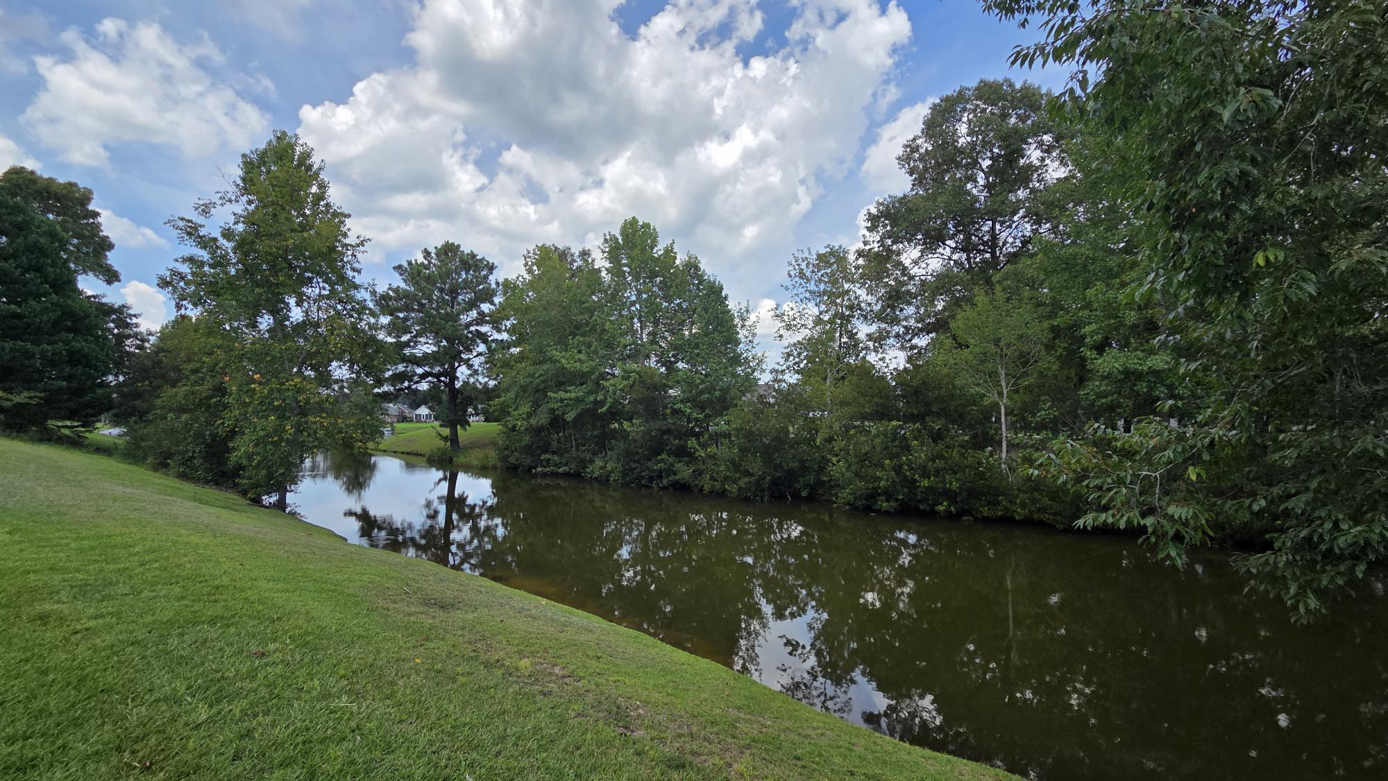 18 Ridge Lake Drive Manning, SC 29102 - Photo 60 of 78 CANAL LEADING TO LIFT INTO LAKE MARION
