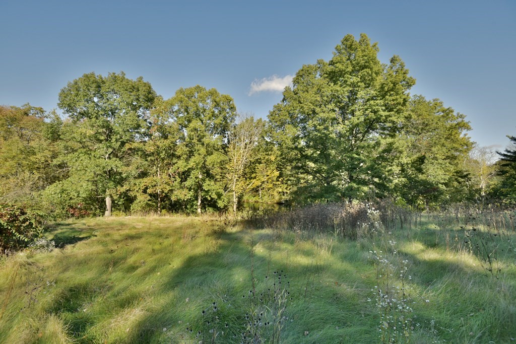 563 Mendon Road Whitinsville, MA 01588 - Photo 14 of 30 a view of a garden