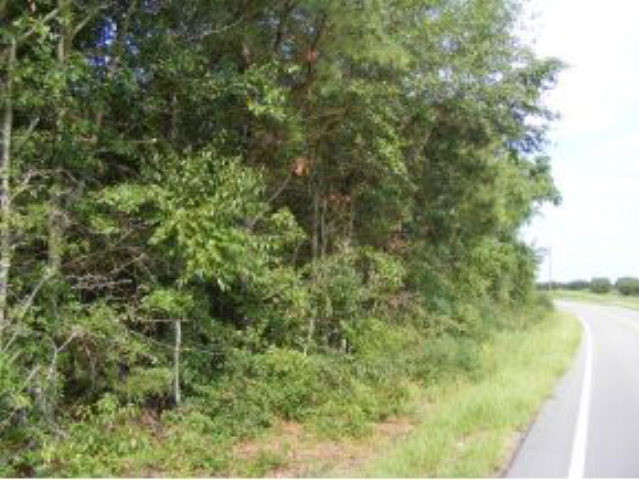 0 Waterworks Road Johnston, SC 29832 - Photo 1 of 1 Main View