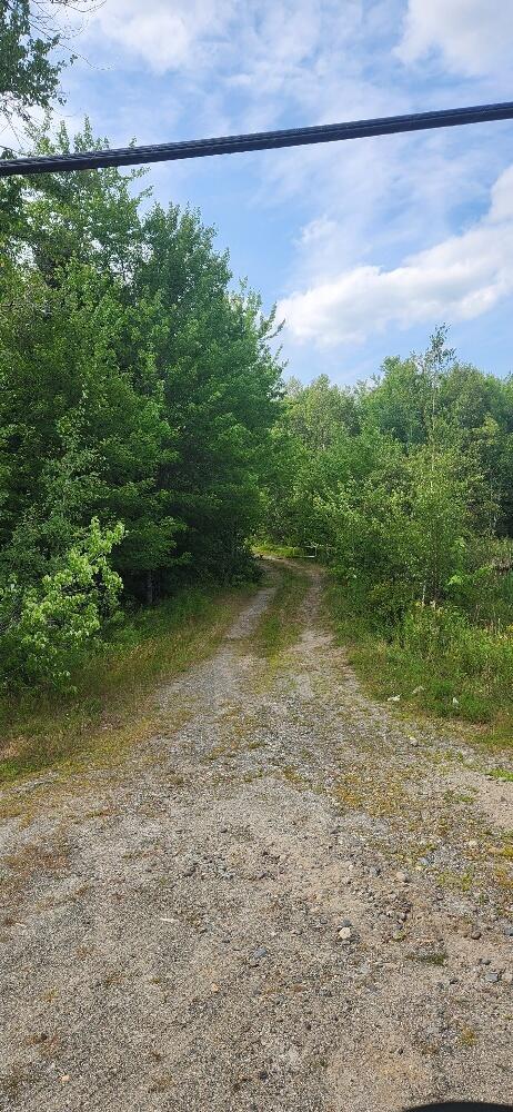 Lot # Greenfield Road Milford, ME 04461 - Photo 2 of 12 20260816_160656_resized