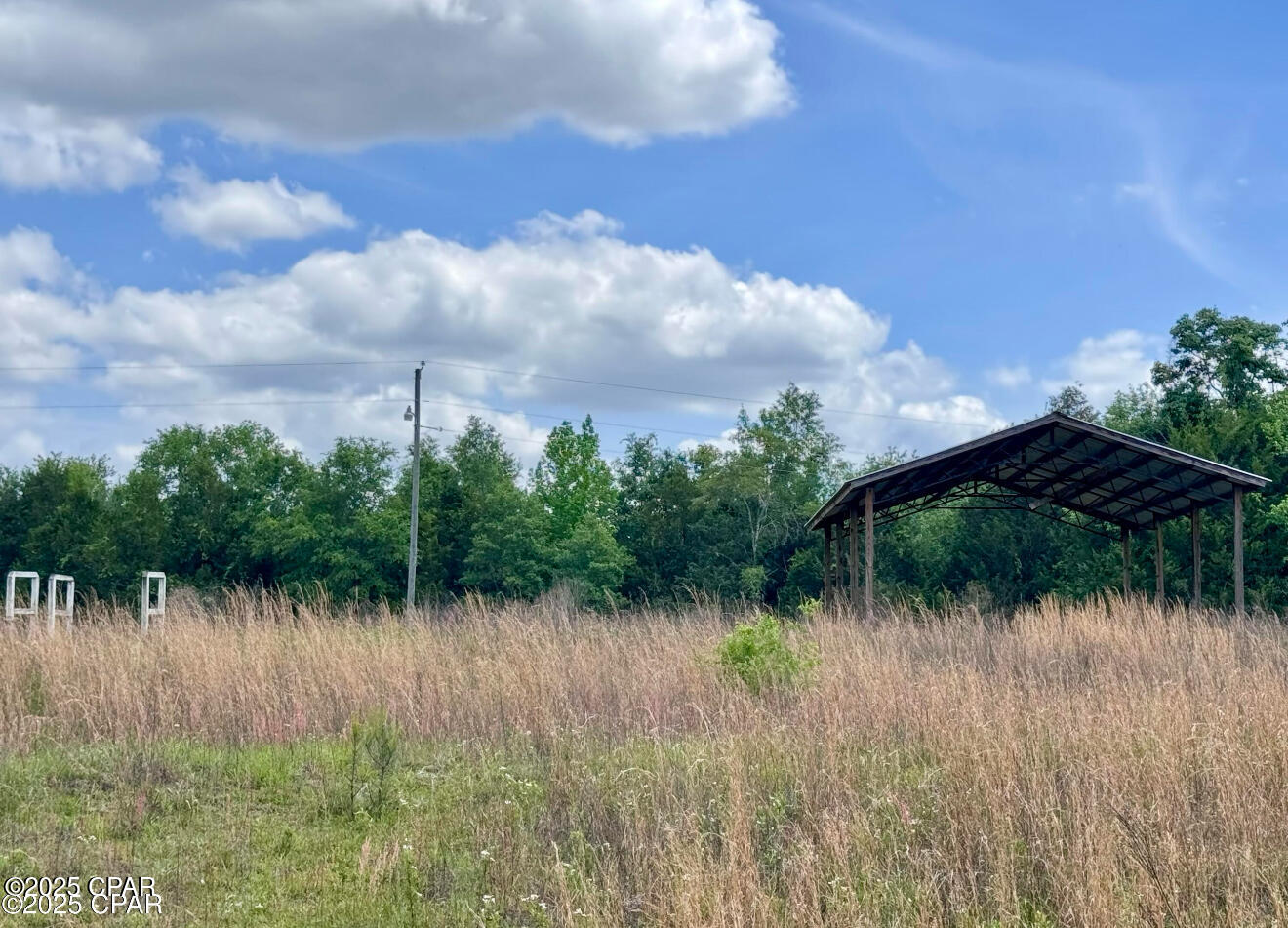 1718 Robbins Bridge Road Bonifay, FL 32425 - Photo 27 of 36