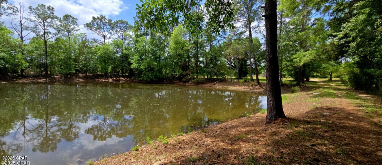 1718 Robbins Bridge Road Bonifay, FL 32425 - Photo 3 of 36